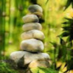 Meet your Posher, Evan